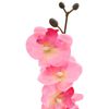 Produkt-Miniaturbild 4 von 5