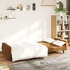 vidaXL Schlafsofa 2-Sitzer Braun Samt