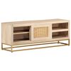 vidaXL TV-Schrank 110x30x40 cm Massivholz Mango und Eisen