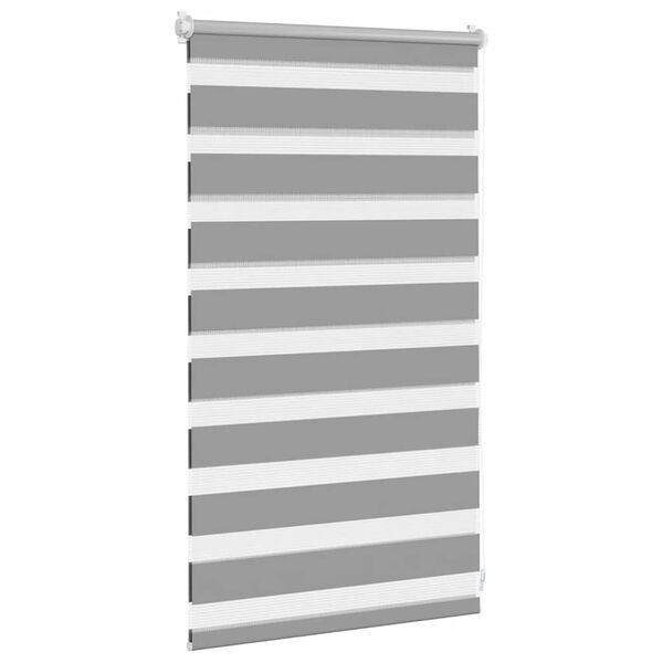 vidaXL Doppelrollo 50 x 100 cm grau