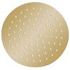 vidaXL Regenbrause Edelstahl 20 cm Rund Golden