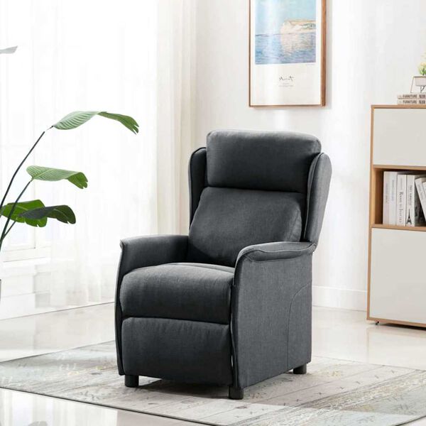 vidaXL Liegestuhl Dunkelgrau 66,5 x 94 x 101,5 cm Polyester