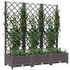 vidaXL Garten-Pflanzgefäß mit Spalier Braun 120 x 40 x 121,5 cm PP