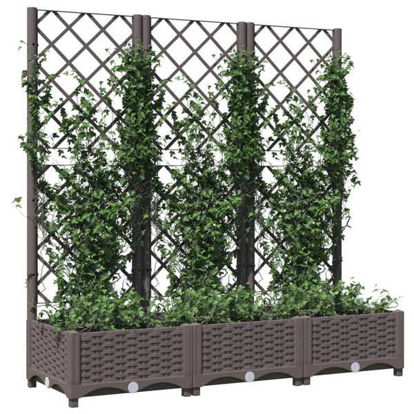vidaXL Garten-Pflanzgefäß mit Spalier Braun 120 x 40 x 121,5 cm PP