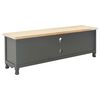 vidaXL TV-Schrank Schwarz 120x30x40 cm Holz