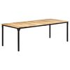 vidaXL Esstisch 220x100x76 cm Raues Mangoholz