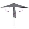 vidaXL Garten-Sonnenschirm Anthrazit 294 x 150 x 223 cm