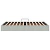 vidaXL Aufbewahrungsbett mit Matratze Hellgrau 120 x 200 cm Samt