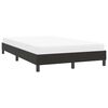 vidaXL Bettgestell ohne Matratze Schwarz 120x220 cm Samt