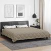 vidaXL Winterbettdecke Hellgrau 240 x 200 cm Mikrofaser