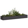 vidaXL Pflanzk&uuml;bel Schwarz 360x80x40 cm Stahl
