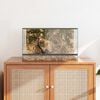vidaXL Terrarium mit Speicher Transparent 50 x 30 x 30 cm Glas