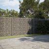 vidaXL Gabione mit Deckel 500x100x200 cm Verzinktes Eisen
