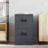 vidaXL Aktenschrank Anthrazit 44 x 50 x 106,5 cm Kaltgewalzter Stahl