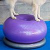 FitPAWS Fitnessball f&uuml;r Hunde TRAX Donut 55 cm Lila