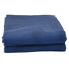 vidaXL Zeltteppich Blau 5x2,5 m
