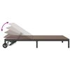 vidaXL Sonnenliege 2-Person Braun 60 x 200 x 27cm Poly-Rattan