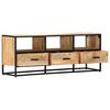 vidaXL TV-Schrank 120x30x45 cm Massivholz Mango