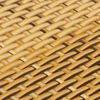 vidaXL Balkon-Sichtschutz Hellbraun 400x90 cm Poly Rattan