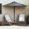 vidaXL Garten-Sonnenschirm Anthrazit 294 x 150 x 224 cm