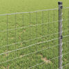 vidaXL Eurozaun 0,6 x 50 m PVC-beschichtetes Eisen