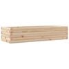 Natural_pine