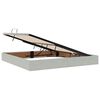 vidaXL Bett mit Stauraum und LED mit LED Hellgrau 200 x 200 cm Samt