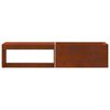 vidaXL Feuerstelle Braun 160 x 45 x 35 cm Stahl