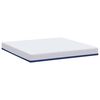vidaXL Matratze Wei&szlig; und Blau 200 x 200 cm Jacquard-Stoff