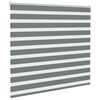 vidaXL Doppelrollo Dunkelgrau 160x100 cm Stoffbreite 155,9 cm Polyester