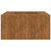 vidaXL Feuerstelle 60x60x30 cm Cortenstahl