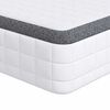 vidaXL Matratze 2 pcs Wei&szlig; und Grau 70 x 190 cm Bonell Feder