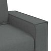 vidaXL 2-Sitzer Sofa Dunkelgrau 120 cm Stoff