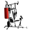 vidaXL Kraftstation mit 1 Boxsack 65 kg