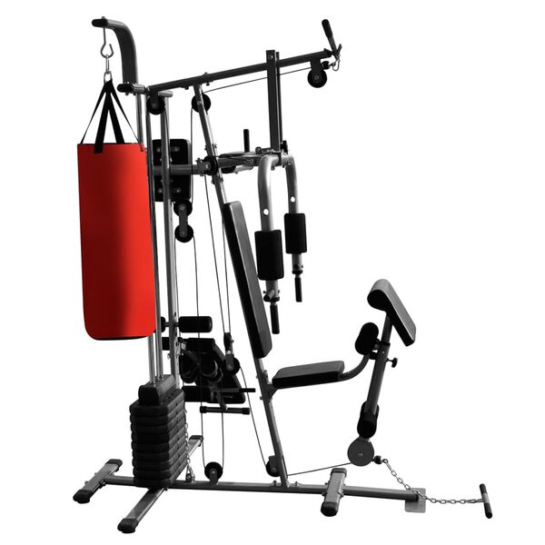 vidaXL Kraftstation mit 1 Boxsack 65 kg