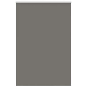 vidaXL Verdunkelungsrollo Grau 165x230cm Stoffbreite 161,6cm Polyester
