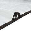 vidaXL Transparente Plane mit &Ouml;sen 2x8 m Polyethylen