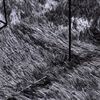 vidaXL Teppich Shaggy Hochflor NAVARRA Dunkelgrau 200x200 cm Polyester