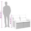 vidaXL Gartensofa mit Kissen 2-Sitzer Beige Poly Rattan