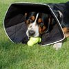 All Four Paws Haustier-Halskragen Comfy Cone XL 30cm Schwarz