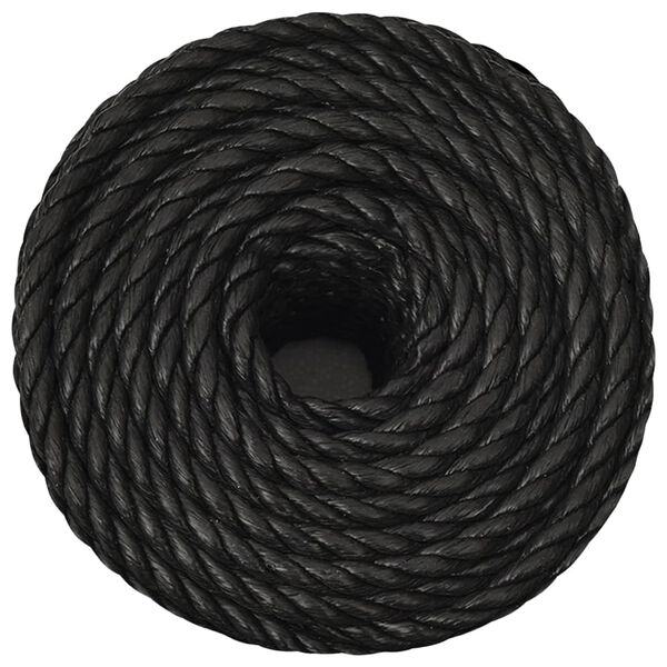 vidaXL Arbeitsseil Schwarz 10 mm 50 m Polypropylen