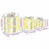 vidaXL Geschenkbox mit 60 LEDs 3 pcs Warmwei&szlig; 20 x 20 x 20 cm PET