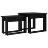 Black_oak