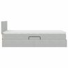 vidaXL Bett mit Stauraum und LED mit LED Hellgrau 100 x 200 cm Samt