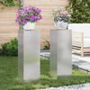 vidaXL Pflanzenst&auml;nder 2 pcs Silber 24 x 24 x 75 cm Edelstahl