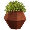 Produkt-Miniaturbild 3 von 12
