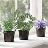 vidaXL Blumentopf 100 pcs Schwarz &Oslash; 15 x 12,5 cm Kunststoff