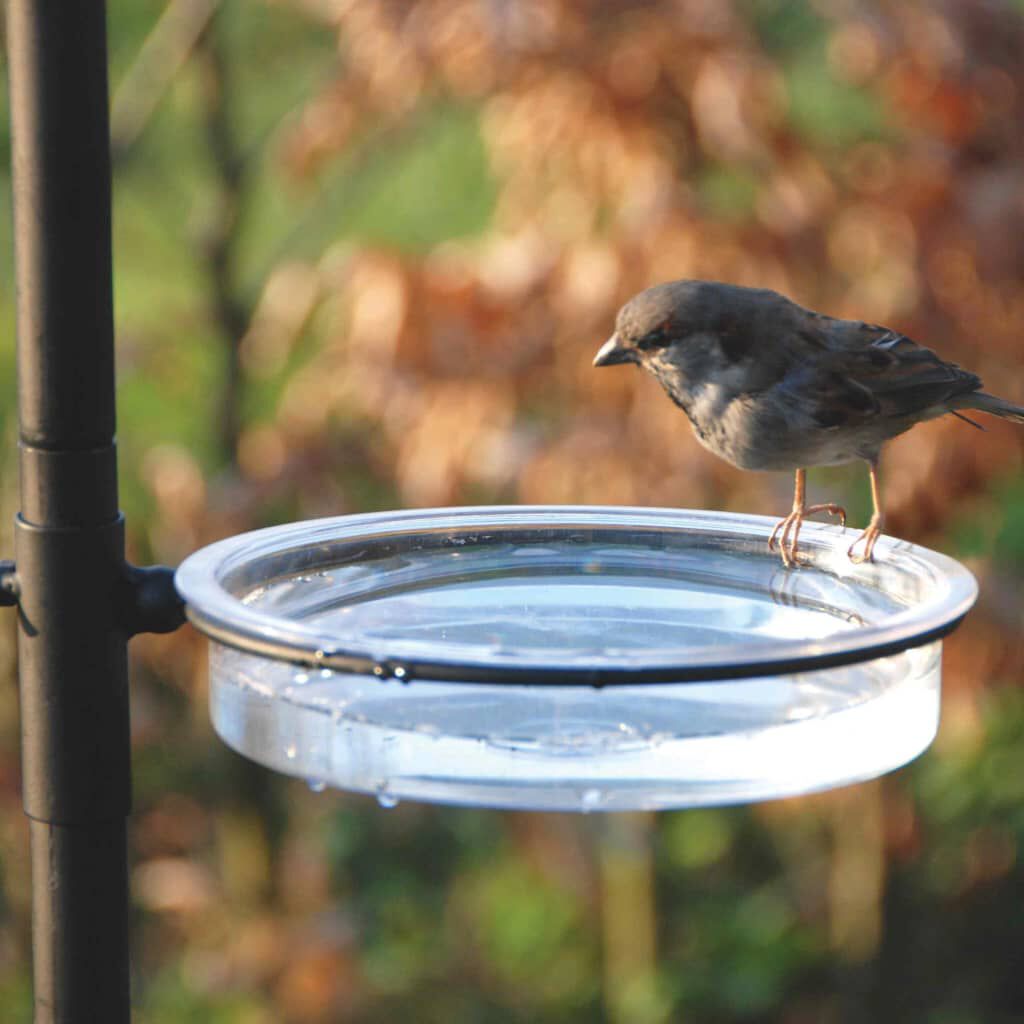 Esschert Design Vogelfutterstation – Aus Metall | Groß, Schwarz | Einfach Zu Befüllen