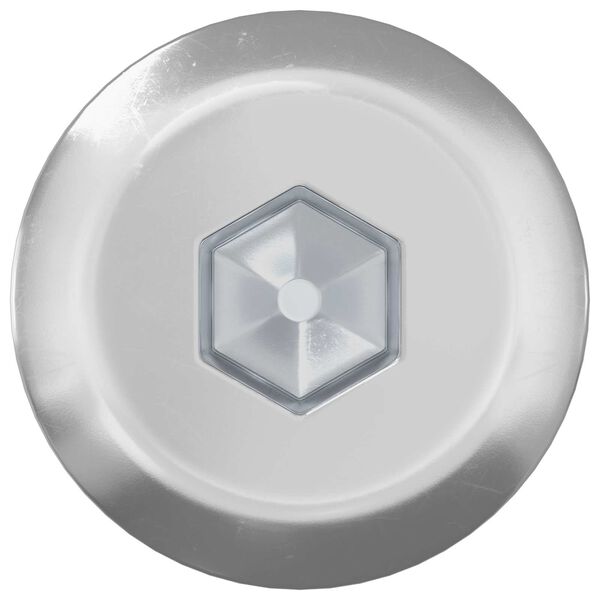 vidaXL M&ouml;bel-Schrauben 12 pcs Silber M6 x 120 mm Stahl