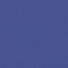 vidaXL Seitenmarkise Ausziehbar Blau 120x600 cm